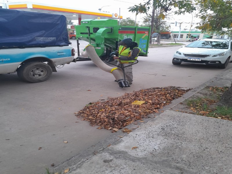 Continúan tareas de mantenimiento, barrido y limpieza en la ciudad