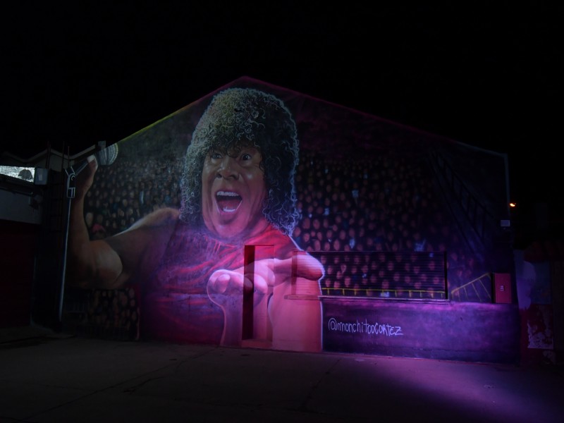 Quedó inaugurado el mural en homenaje a la Mona Jiménez en la ciudad