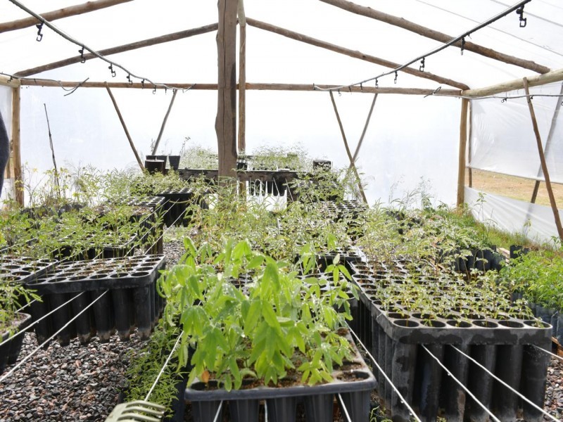 “Por Vos, por Todos”: San Francisco refuerza su compromiso con el ambiente