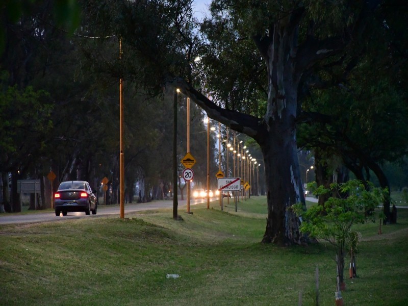 El Paseo Maipú ya cuenta con nuevas luminarias LED en todo su recorrido