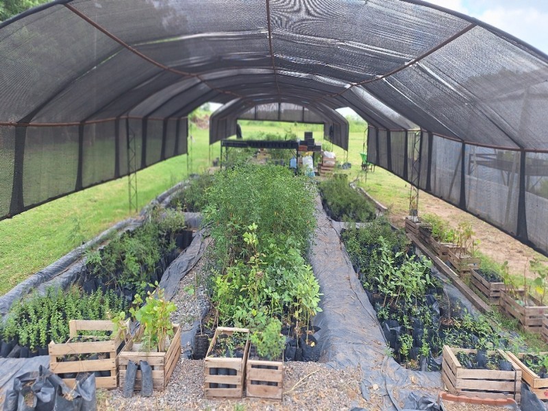 Vivero Municipal: Un laboratorio de especies arbóreas que llama la atención de la comunidad