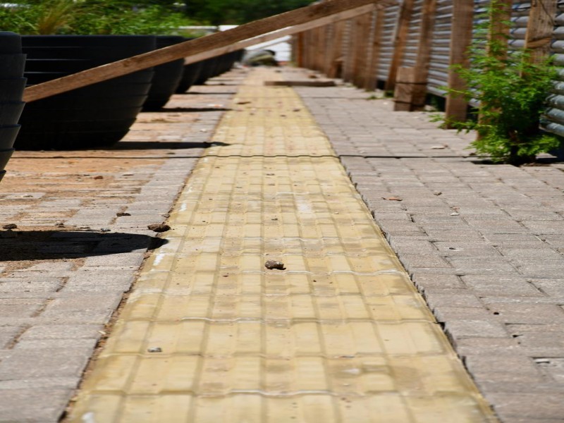 Renovación de la Plaza Cívica y apertura de Av. Libertador: una obra que combina inclusión e innovación