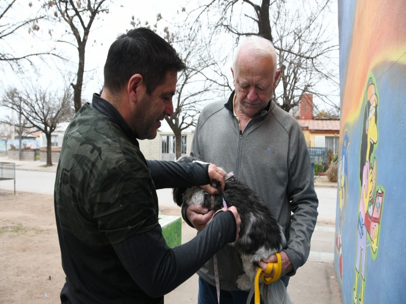 Continúa el operativo de vacunación antirrábica y castración de perros y gatos