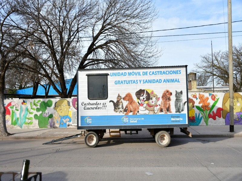 San Francisco es la segunda ciudad del interior provincial en cantidad de animales castrados