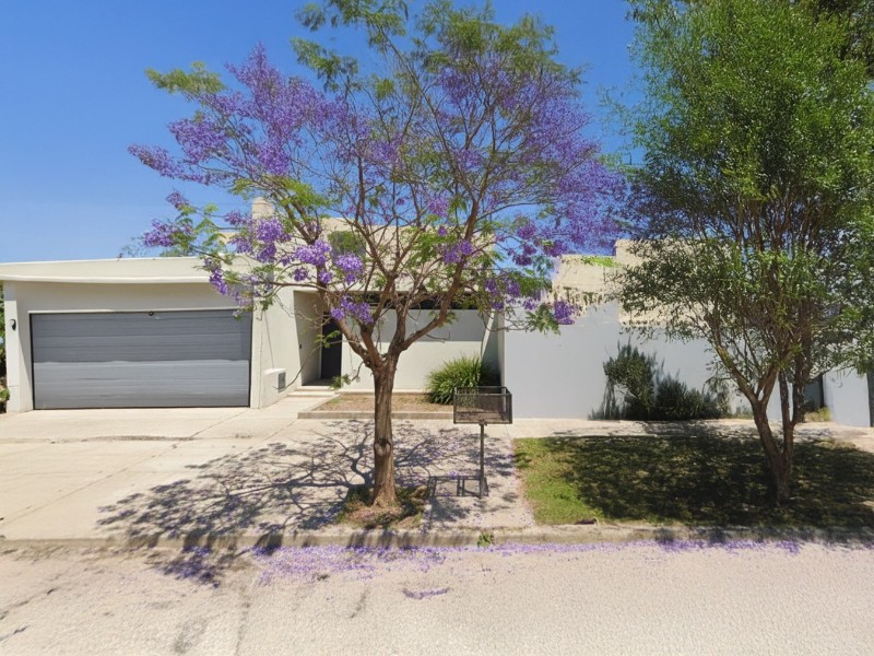 El municipio recuerda la vigencia de las ordenanzas sobre arbolado urbano