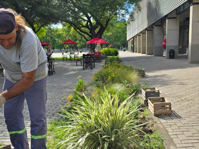 Se trabaja en la renovación de plazas, parques y paseos antes de la llegada del otoño