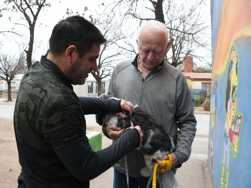 La próxima semana se retoman las castraciones y vacunaciones por los barrios
